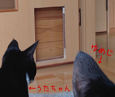 猫ドア①　写真２