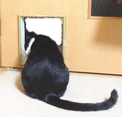 猫ドア②完成　写真２